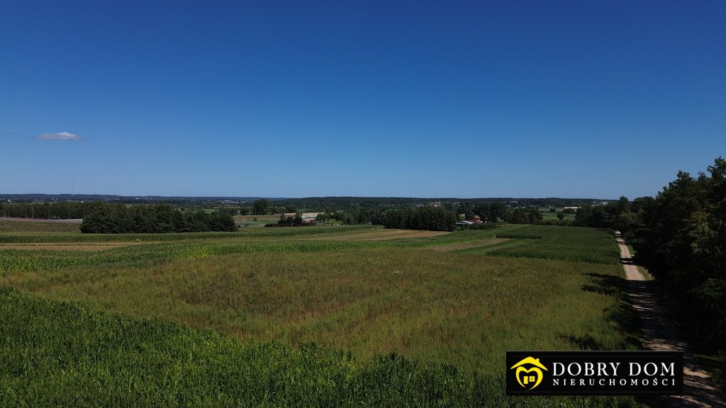 Działka inwestycyjna przy S8 z wysoką zabudową i widocznością Złotoria  10 773m2 Foto 1
