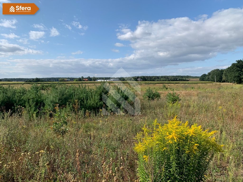 Działka budowlana na sprzedaż Wilcze  1 051m2 Foto 2