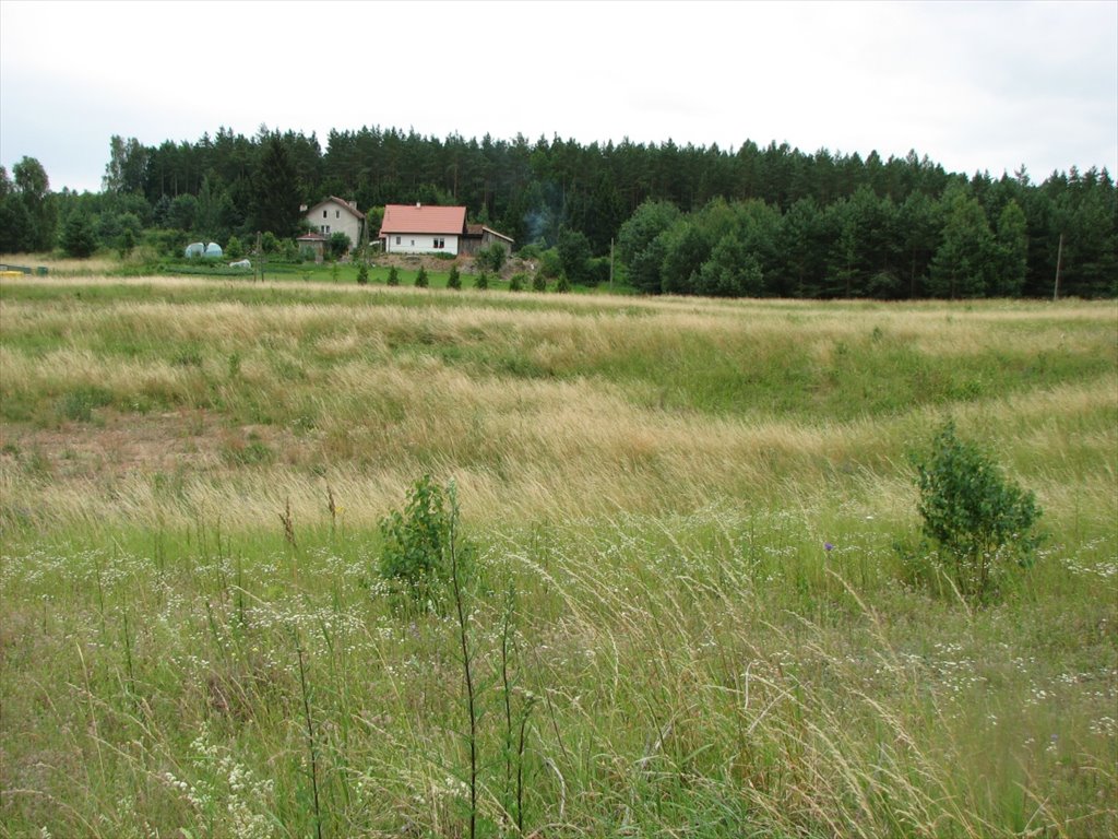 Działka budowlana na sprzedaż Barczewo, Łapka  1 936m2 Foto 3