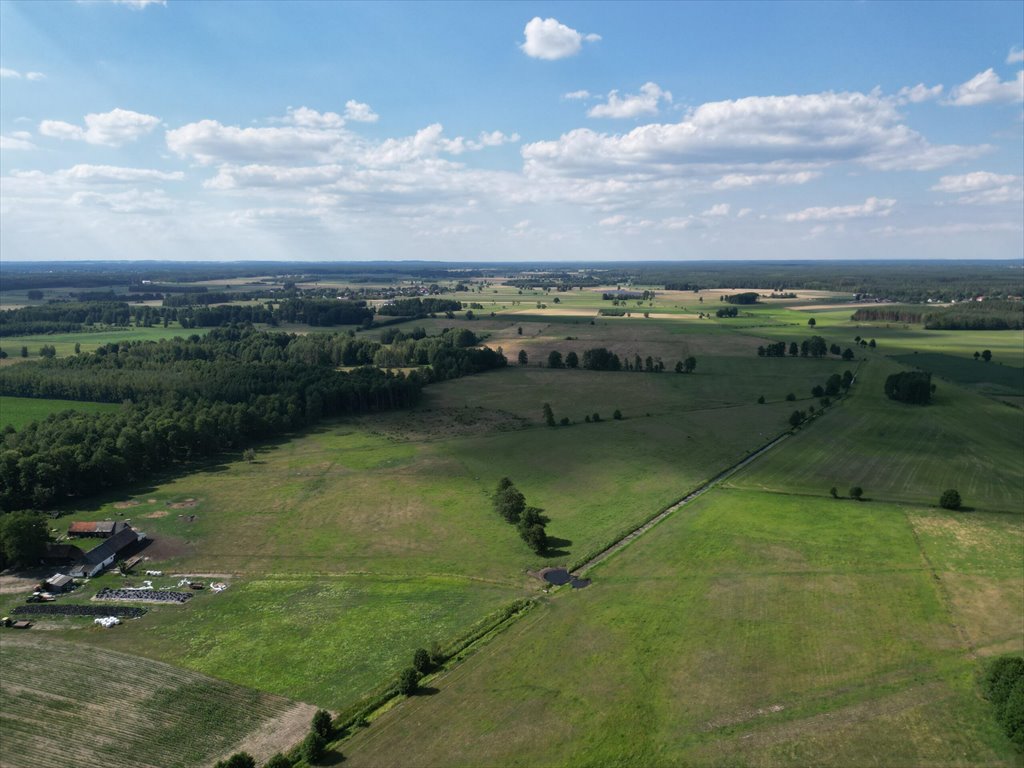 Działka budowlana na sprzedaż Jerominy  3 705m2 Foto 8