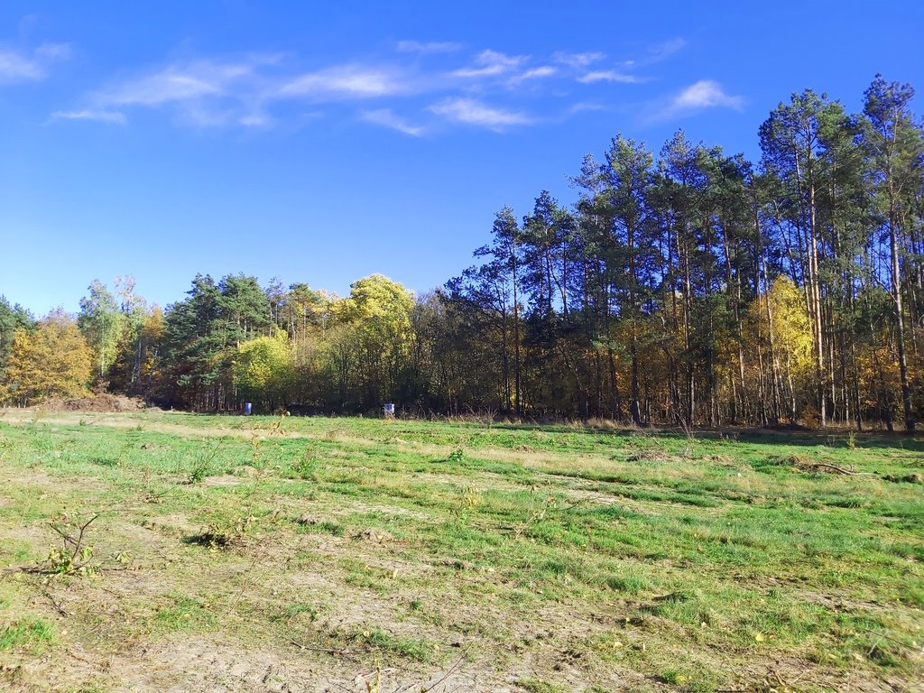 Działka budowlana na sprzedaż Łódź, Kolumny  1 000m2 Foto 2