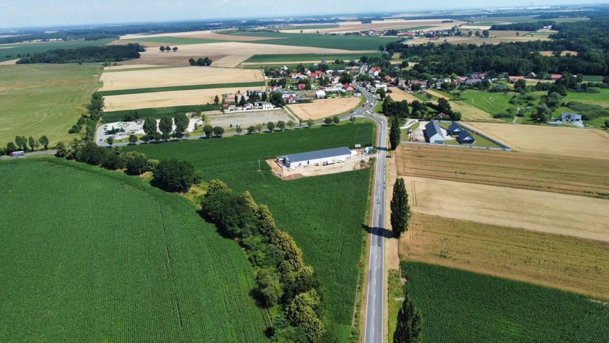 Działka przemysłowo-handlowa na sprzedaż Mirosławice  13 000m2 Foto 1