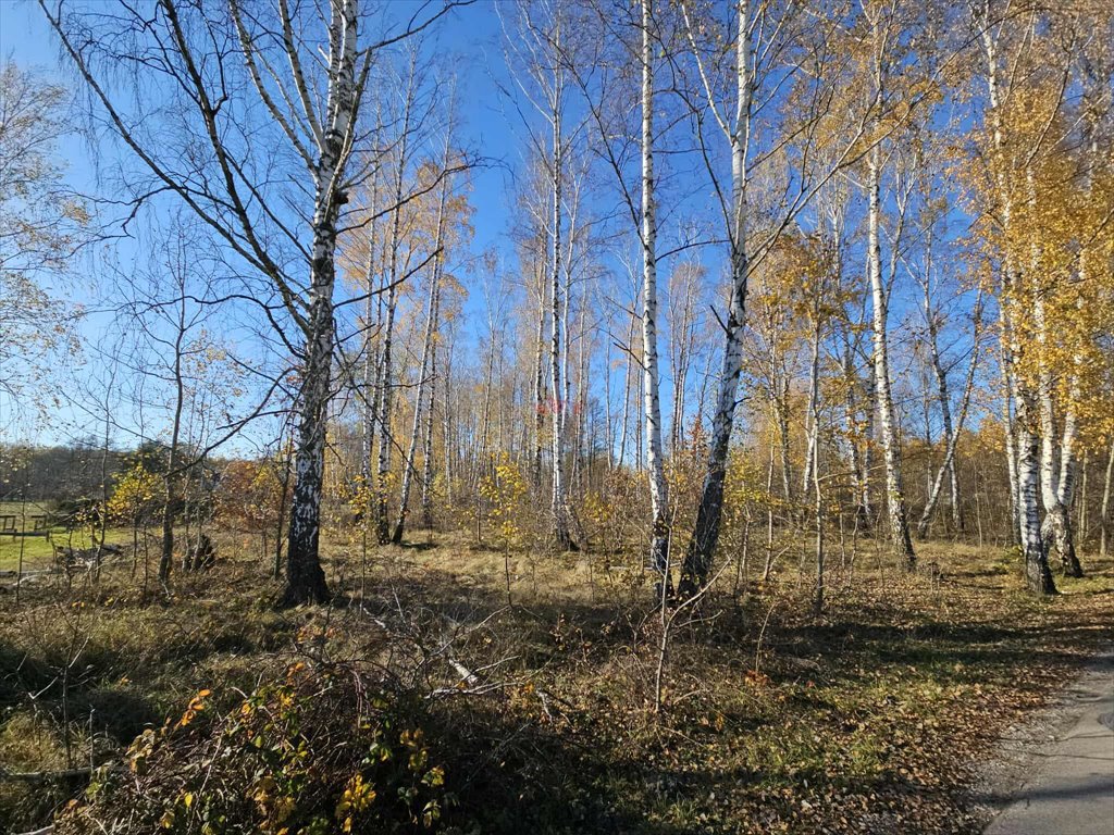 Działka leśna na sprzedaż Jaktorów-Kolonia, Generała Kleberga  3 858m2 Foto 1
