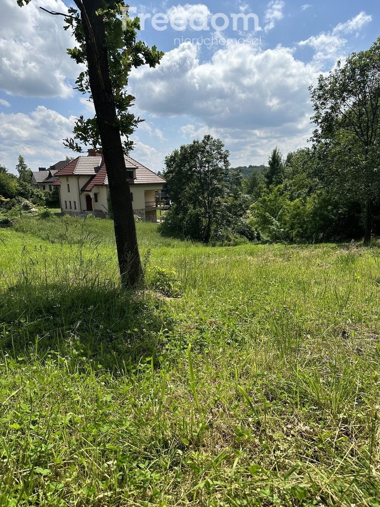 Działka budowlana na sprzedaż Raciborsko  5 584m2 Foto 5