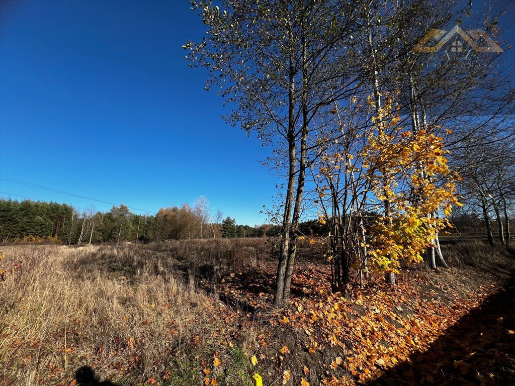 Działki pod zabudowę z decyzją na 4 domy, las, media Stare Żukowice  1 000m2 Foto 1