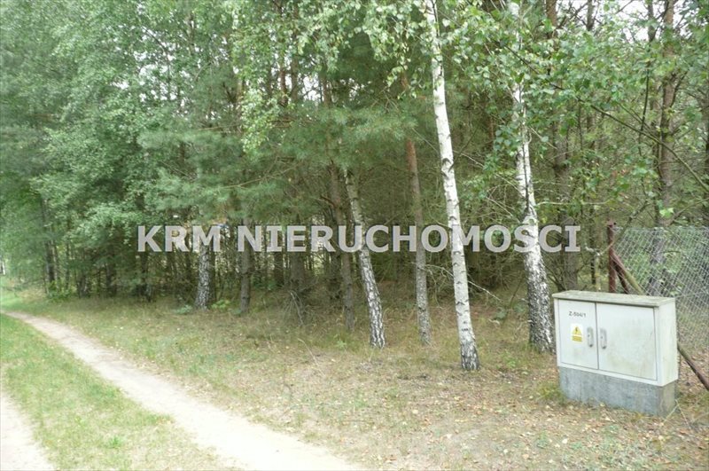 Działka rekreacyjna na sprzedaż BORY TUCHOLSKIE, LIPY, gm. STARA KISZEWA 1 012m2 Foto 1 Działka rekreacyjna na sprzedaż BORY TUCHOLSKIE, LIPY, gm. STARA KISZEWA 1 012m2 Foto 1