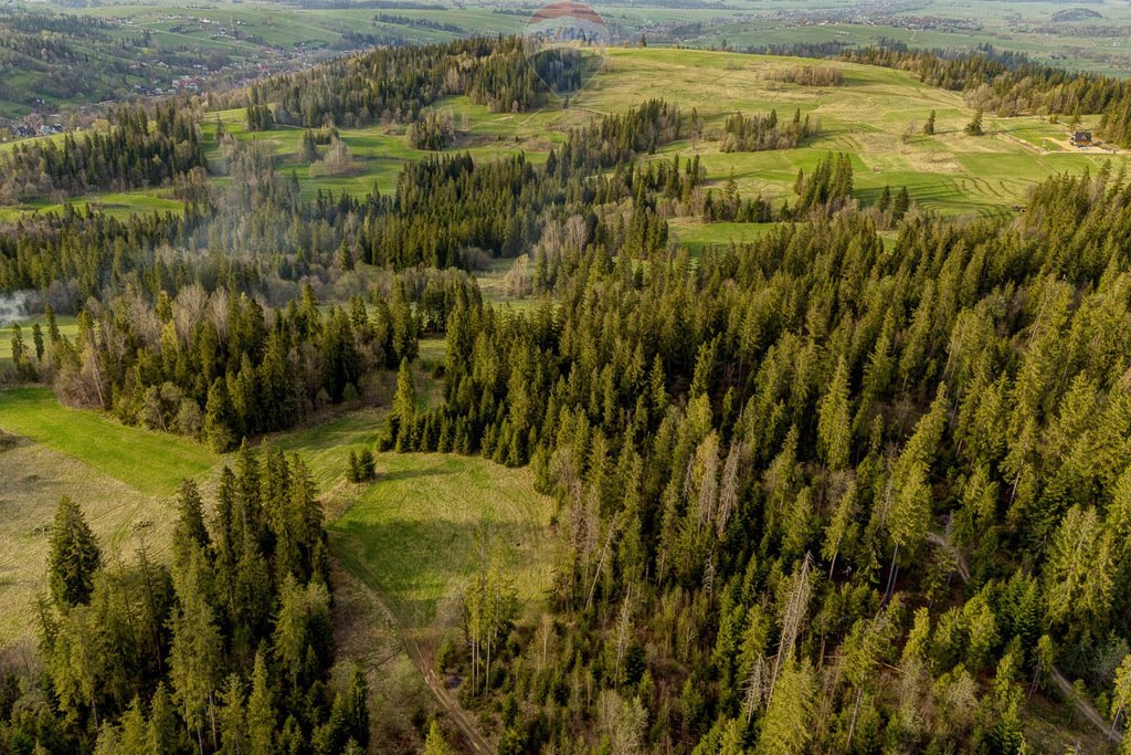 Działka rolna na sprzedaż Groń  6 515m2 Foto 15