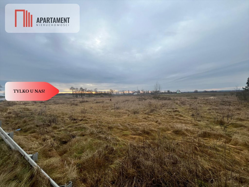 Działka budowlana na sprzedaż Olek  2 300m2 Foto 2