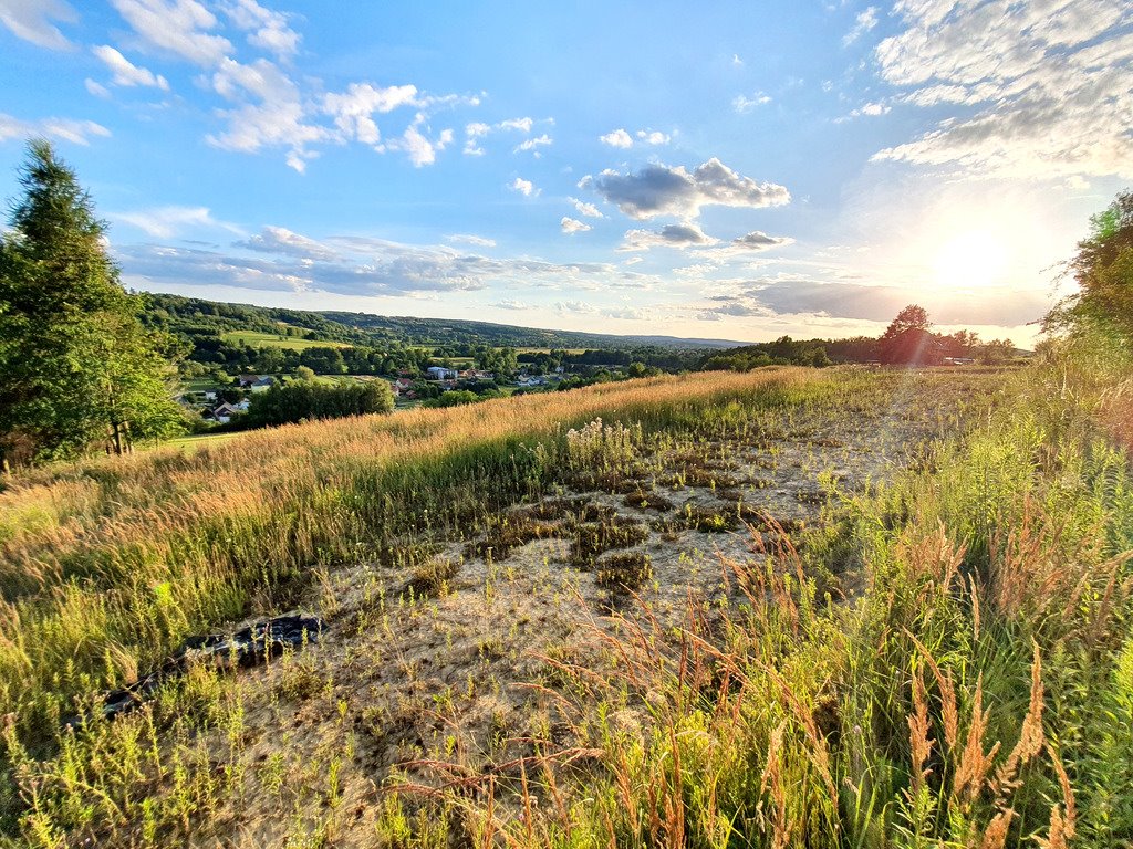 Widokowa działka pod zabudowę - 1650 m² w Borku Starym Rzeszów, Biała, al. gen. Władysława Sikorskiego  1 650m2 Foto 1