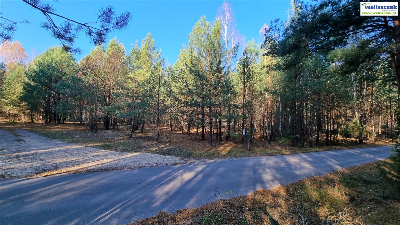 Działka rolna na sprzedaż Ostrów  3 021m2 Foto 2