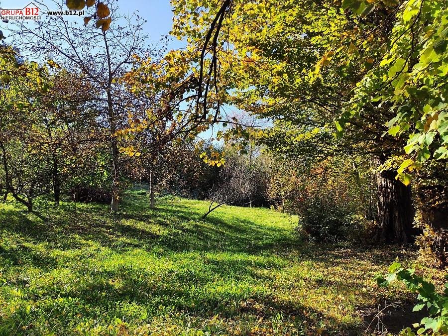 Działka budowlana na sprzedaż Biskupice, Biskupice, Biskupice  5 400m2 Foto 3