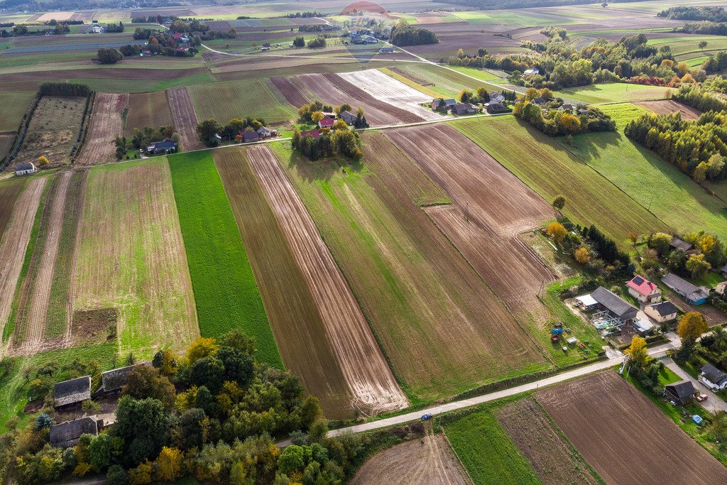 Działka budowlana na sprzedaż Krępa  2 600m2 Foto 6