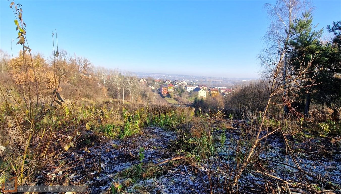 Działka budowlana na sprzedaż Zabierzów  4 800m2 Foto 1