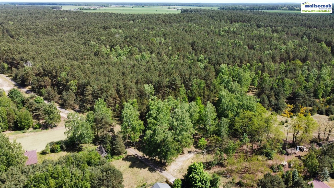 Działka leśna na sprzedaż Rozprza  37 350m2 Foto 4