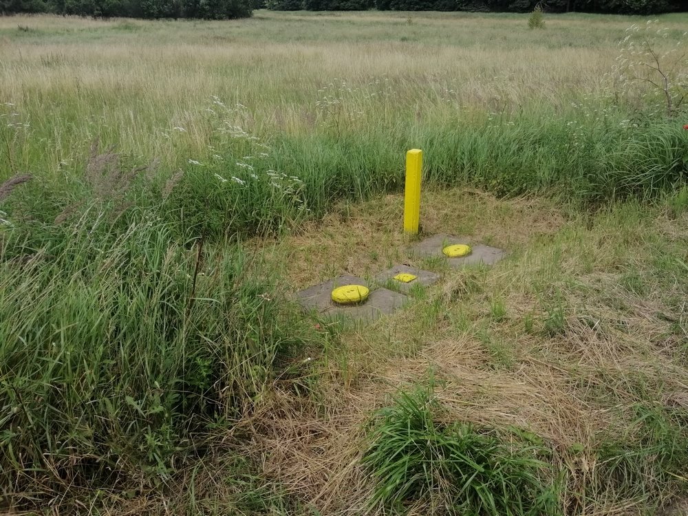 Działka budowlana na sprzedaż Krzęcin  13 200m2 Foto 3