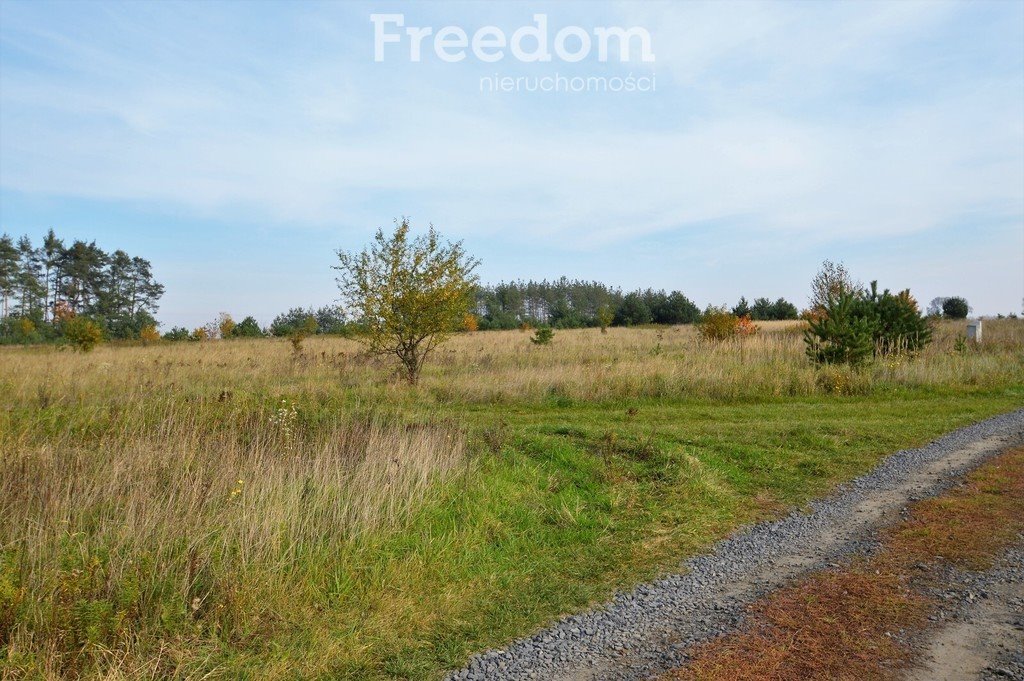 Działka budowlana na sprzedaż Siedliska  914m2 Foto 4