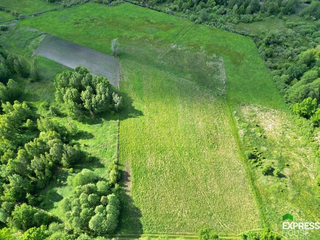 Działka leśna na sprzedaż Świerszczów  12 100m2 Foto 2