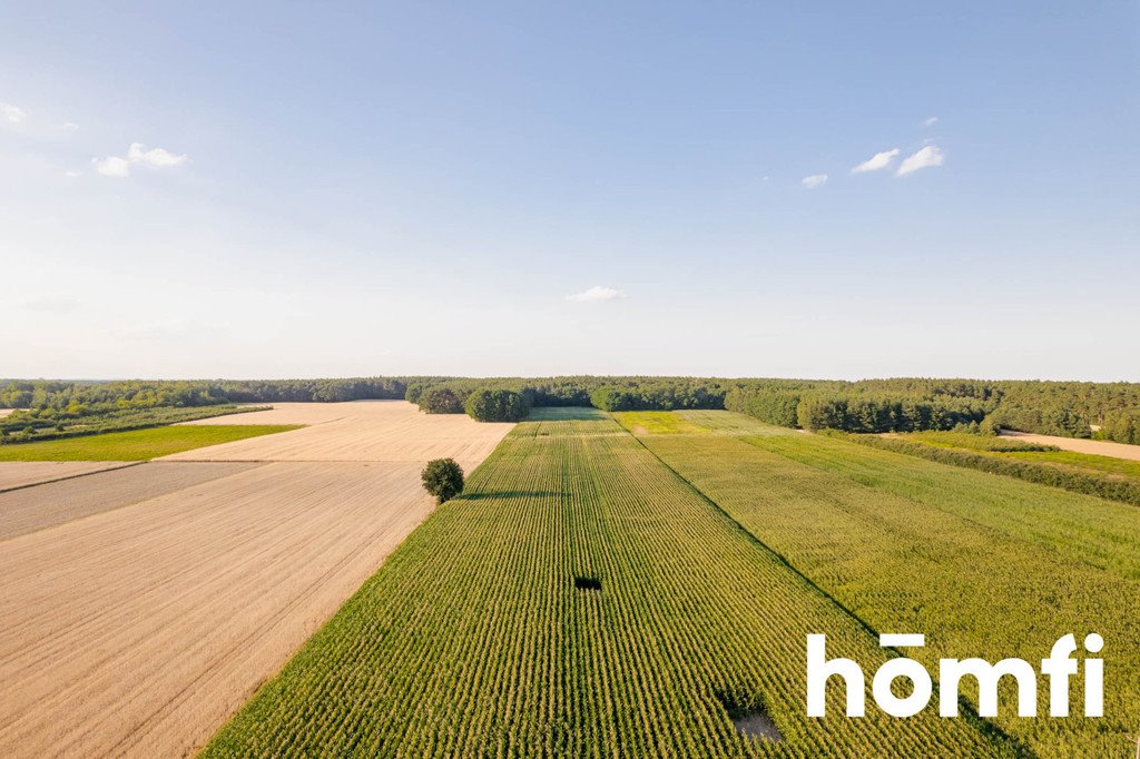 Działka siedliskowa na sprzedaż Zawady  119 300m2 Foto 6