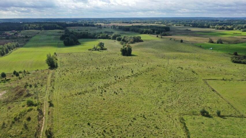 Działka rolna na sprzedaż Stare Sady  3 189m2 Foto 14