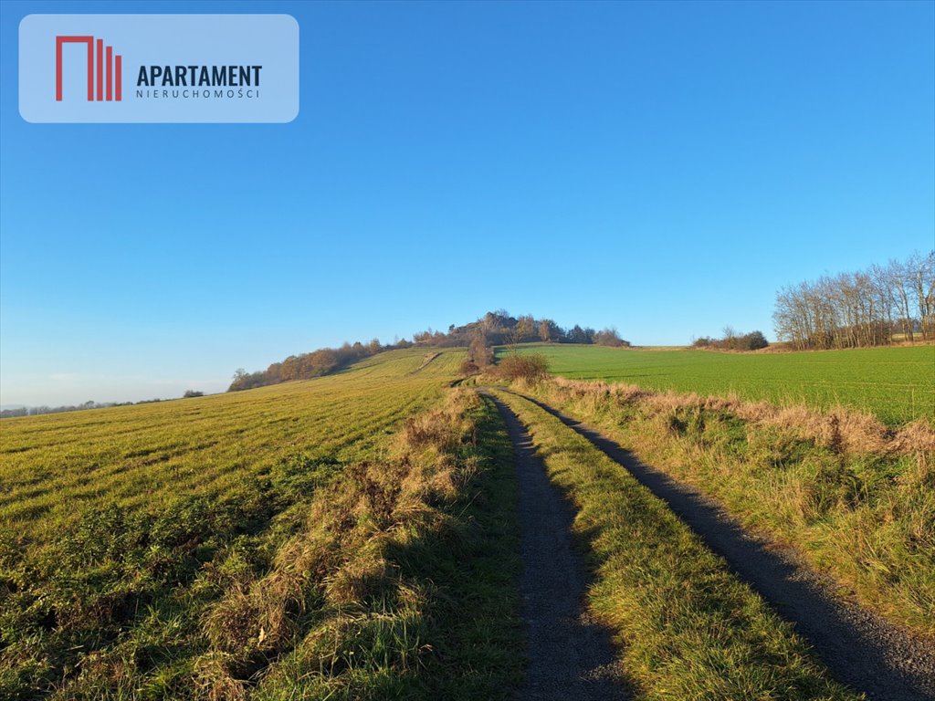 Działka gospodarstwo rolne na sprzedaż Pomocne  30 000m2 Foto 2