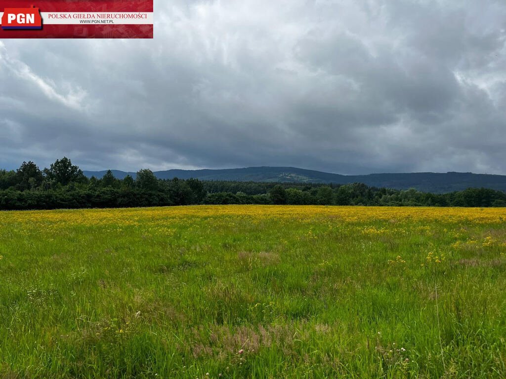 Działka budowlana w Starkowie – 1675 m², spokojna okolica Starków  1 676m2 Foto 1