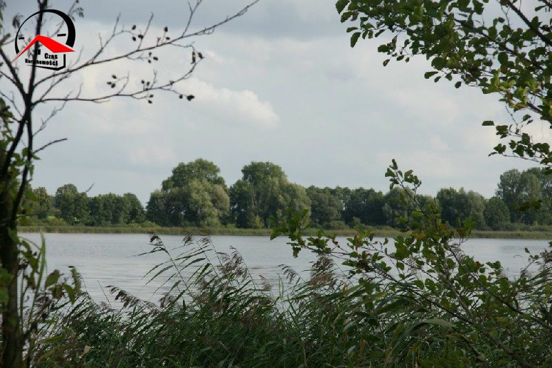 Działka gospodarstwo rolne na sprzedaż Radoszewice  3 000m2 Foto 9