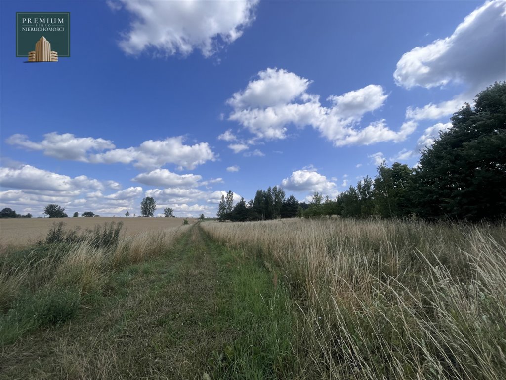 Duża działka rolna 2908 m² z mediami i dojazdem Letniki  2 908m2 Foto 1
