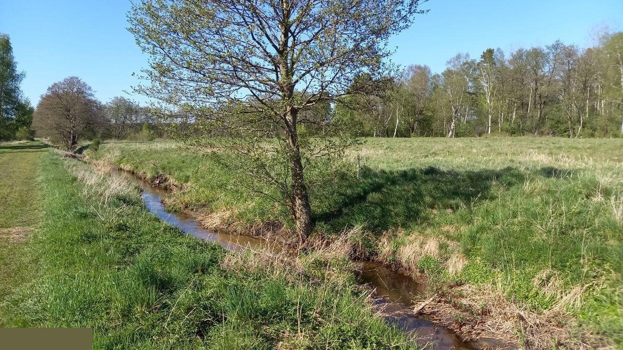 Działka rolna na sprzedaż Choczewo  600m2 Foto 6