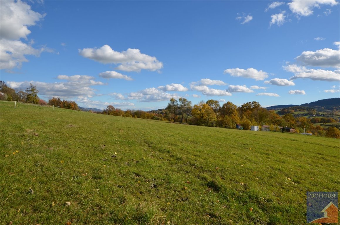 Dom na sprzedaż Stara Wieś  100m2 Foto 19