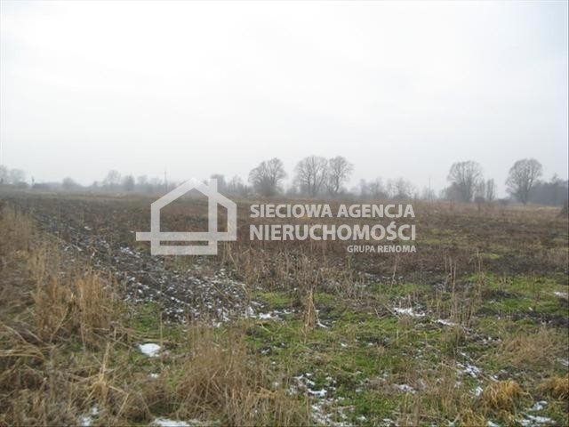 Duża działka przemysłowa 30 090 m² przy drodze wojewódzkiej Mały Klincz  30 090m2 Foto 1