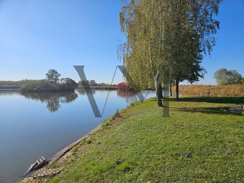 Działka budowlana na sprzedaż Busko-Zdrój  72 000m2 Foto 12