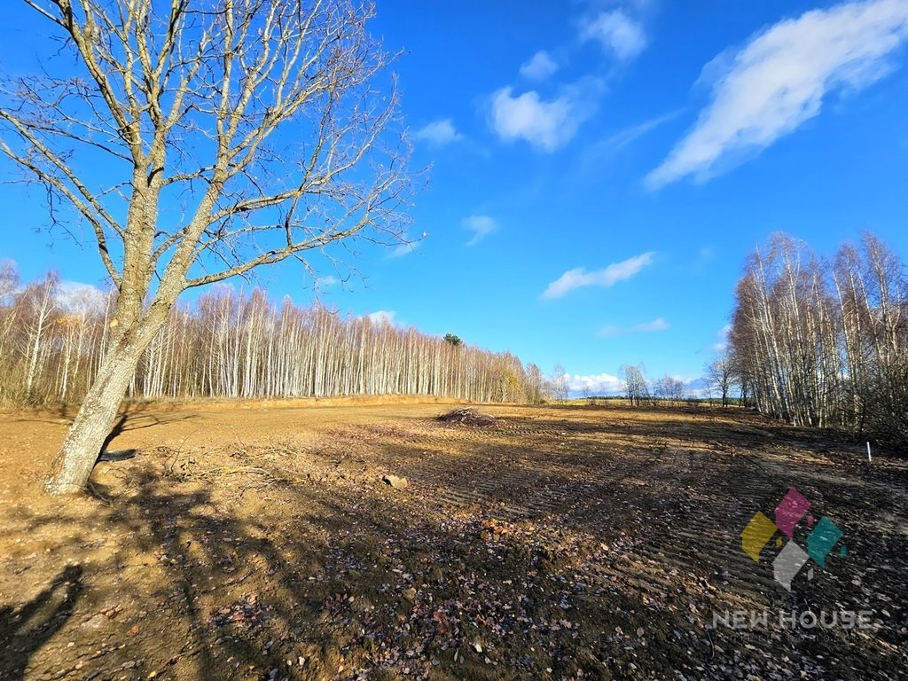 Działka budowlana na sprzedaż Rozgity  3 878m2 Foto 1