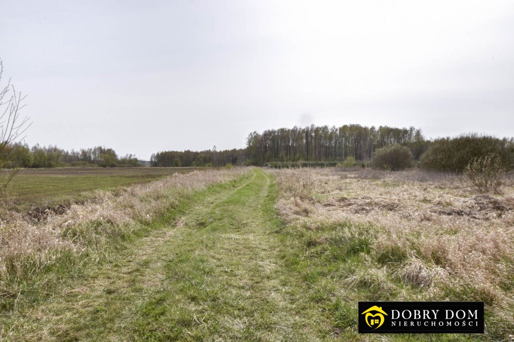 Malownicza działka 5500 m² w Koszkach - cisza i las. Koszki  5 500m2 Foto 1