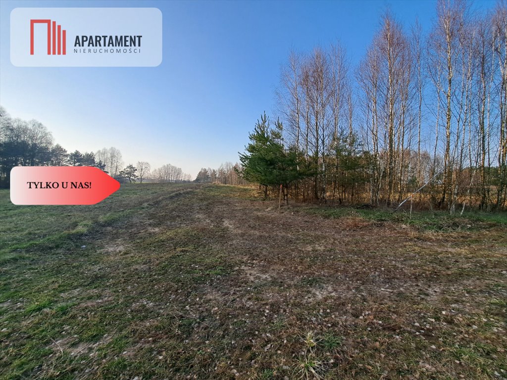 Działka budowlana na sprzedaż Borsk  1 202m2 Foto 7