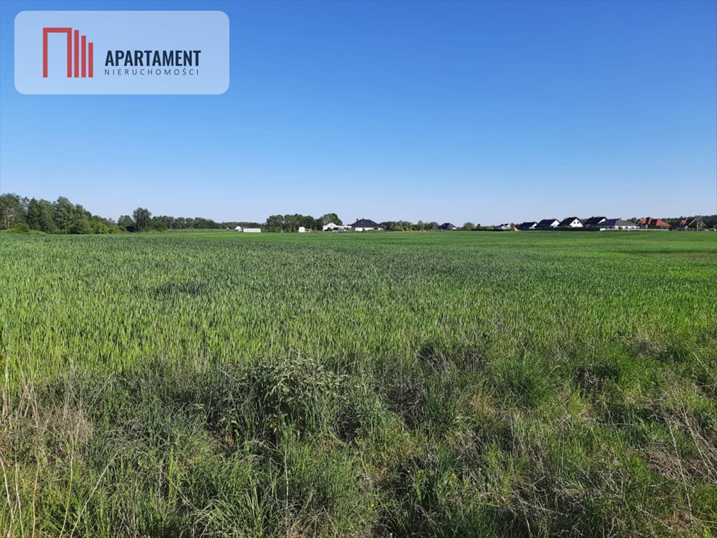 Działka budowlana na sprzedaż Rokocin, Diamentowa  1 000m2 Foto 4