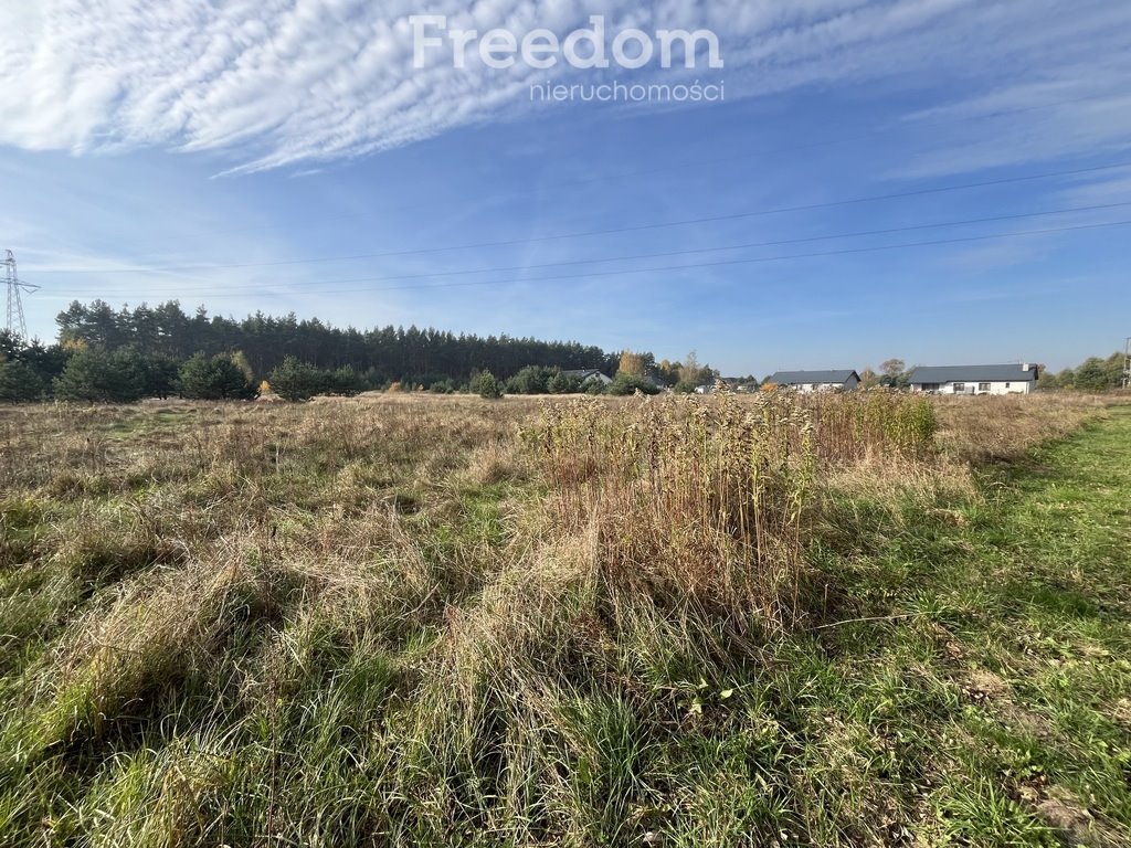 Działka budowlana na sprzedaż Zamek Bierzgłowski, Sosnowa  2 000m2 Foto 6