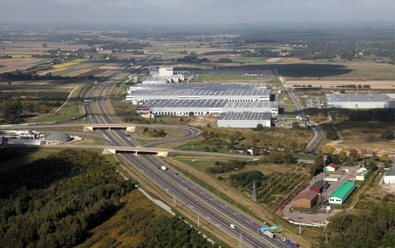 Lokal użytkowy na wynajem Smolice 5 250m2 Foto 1 Lokal użytkowy na wynajem Smolice 5 250m2 Foto 1