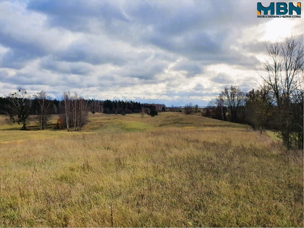 Działka rolna na sprzedaż Tuchlin, Tuchlin  65 579m2 Foto 12