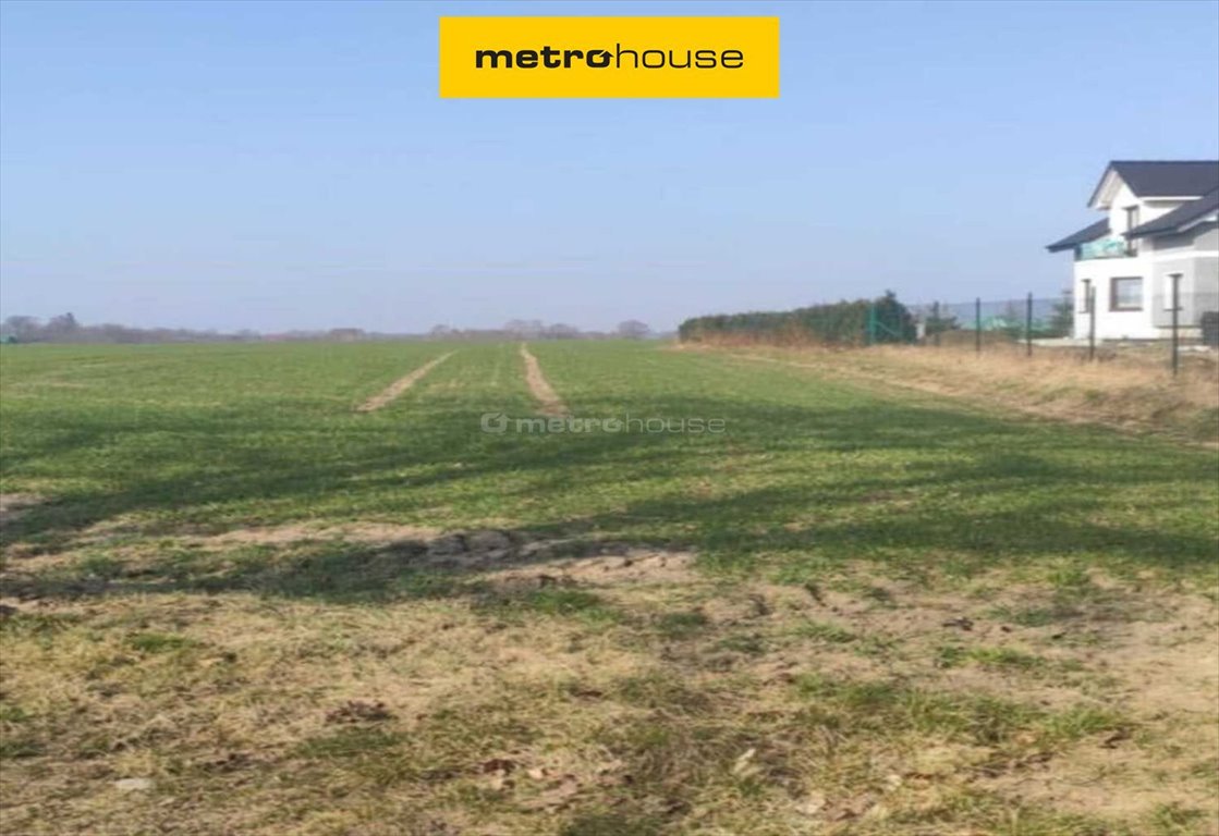 Działka 4098 m² z drogą dojazdową, las, warunki zabudowy Sąborze  4 098m2 Foto 1