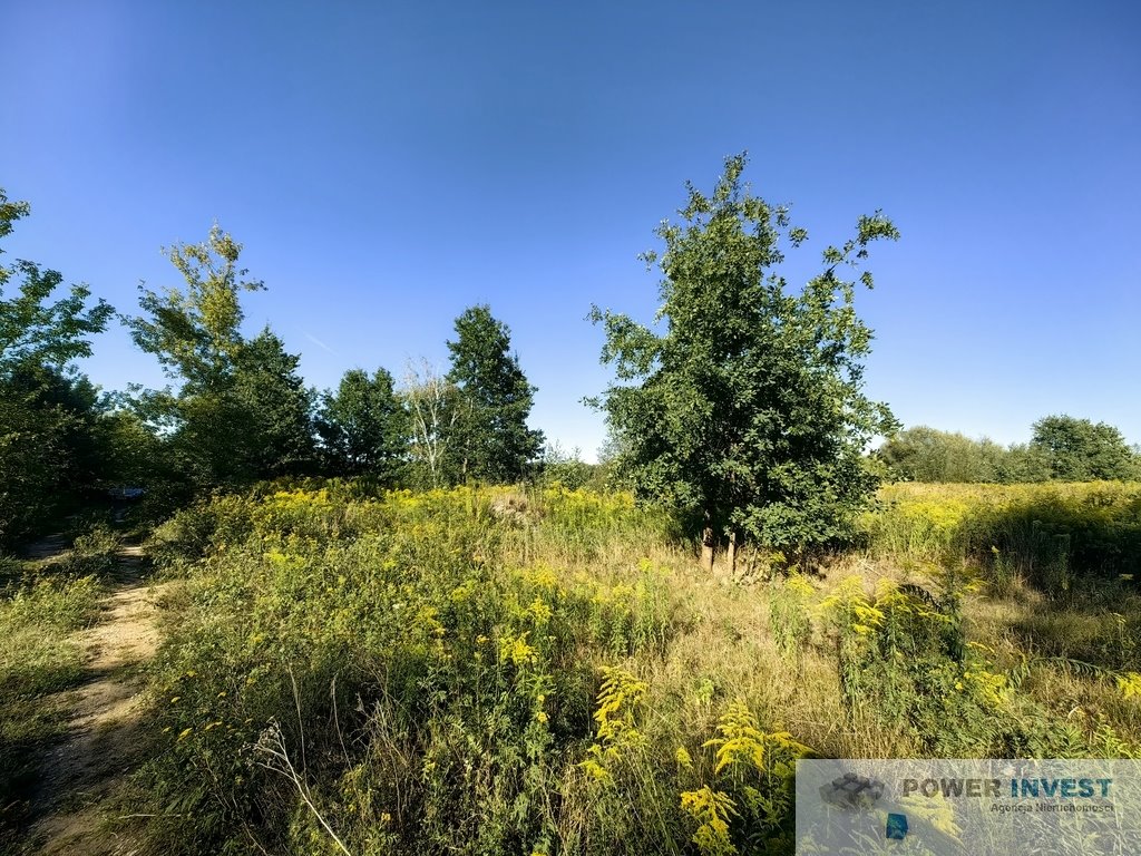 Działka budowlana na sprzedaż Jaktorów-Kolonia  8 770m2 Foto 6