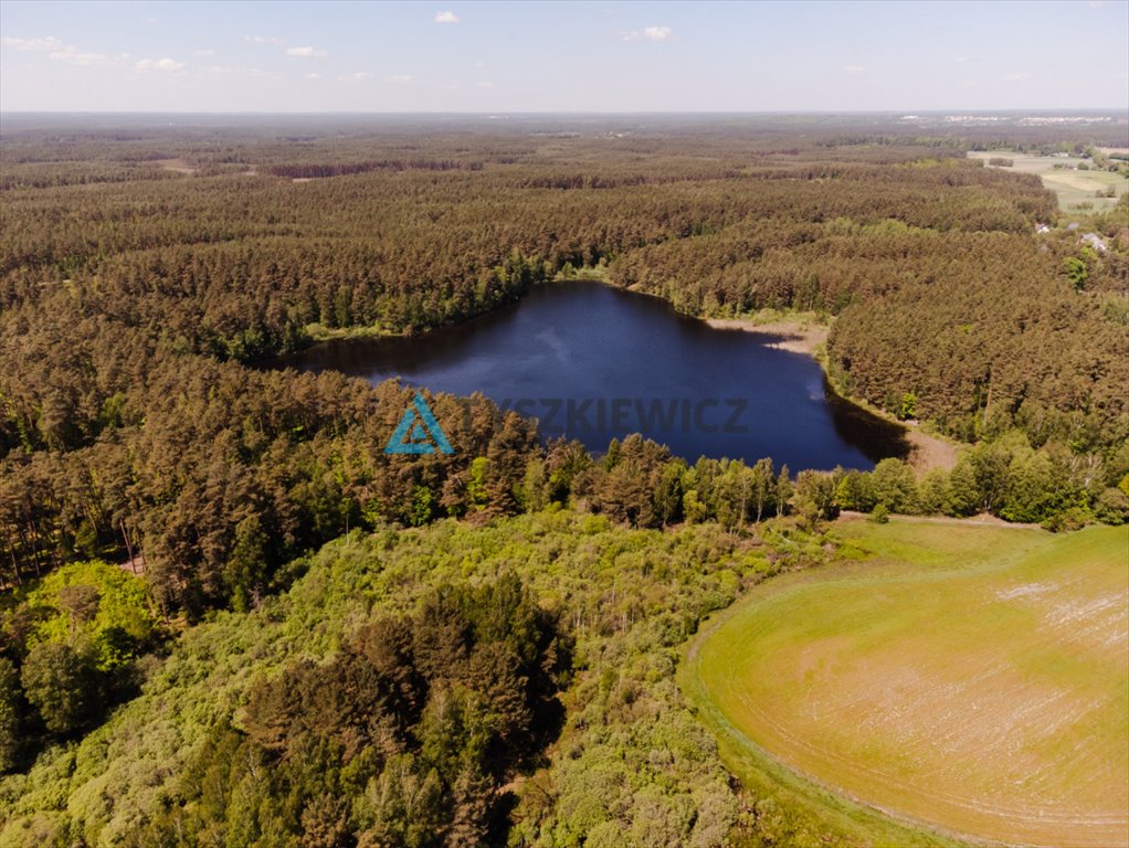 Działka rekreacyjna na sprzedaż Sarnowy  4 500m2 Foto 10