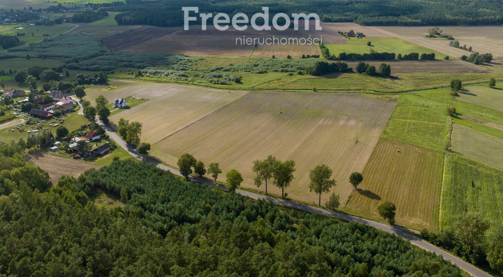 Działka siedliskowa na sprzedaż Szymany  8 174m2 Foto 6