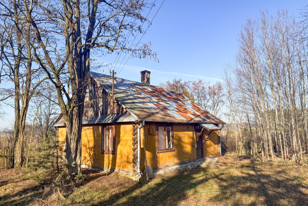 Działka siedliskowa na sprzedaż Borki  101 600m2 Foto 6