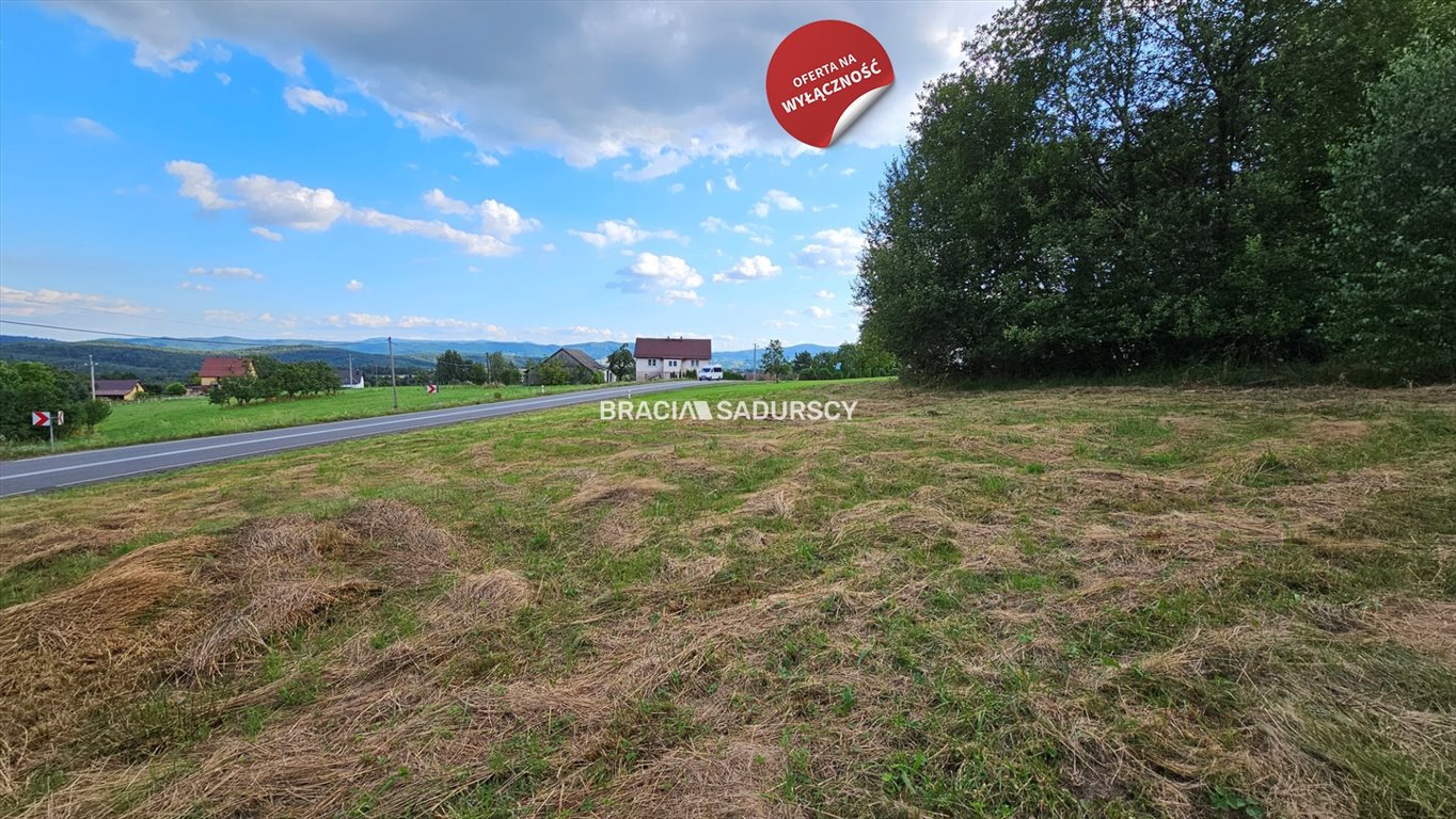 Działka budowlana na sprzedaż Połom Duży  3 500m2 Foto 18