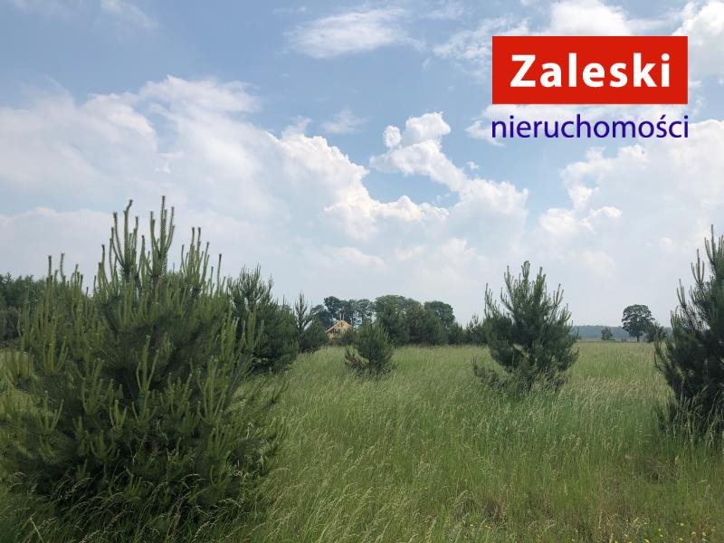 Działka inna na sprzedaż Czerniewo, CZERNIEWO, XXXXX 1 500m2 Foto 1 Działka inna na sprzedaż Czerniewo, CZERNIEWO, XXXXX 1 500m2 Foto 1