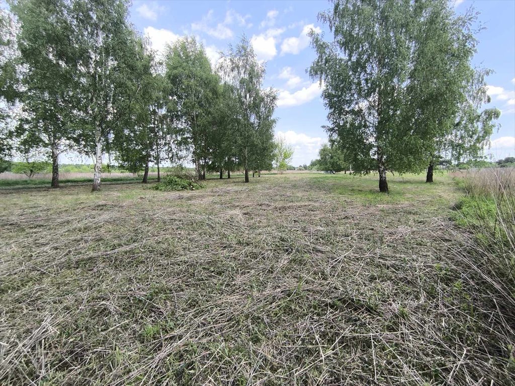 Działka budowlana na sprzedaż Stare Babice  3 400m2 Foto 1