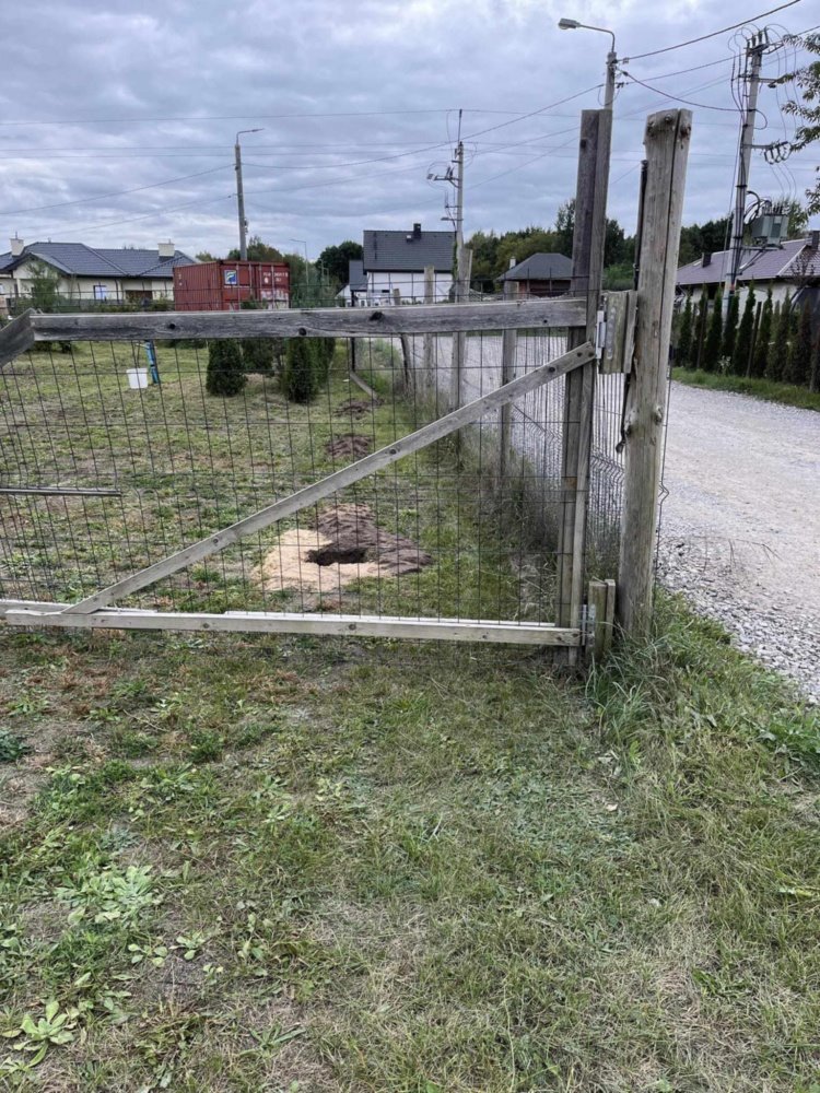 Działka budowlana na sprzedaż Truskaw, Truskaw, Południowa  1 000m2 Foto 6