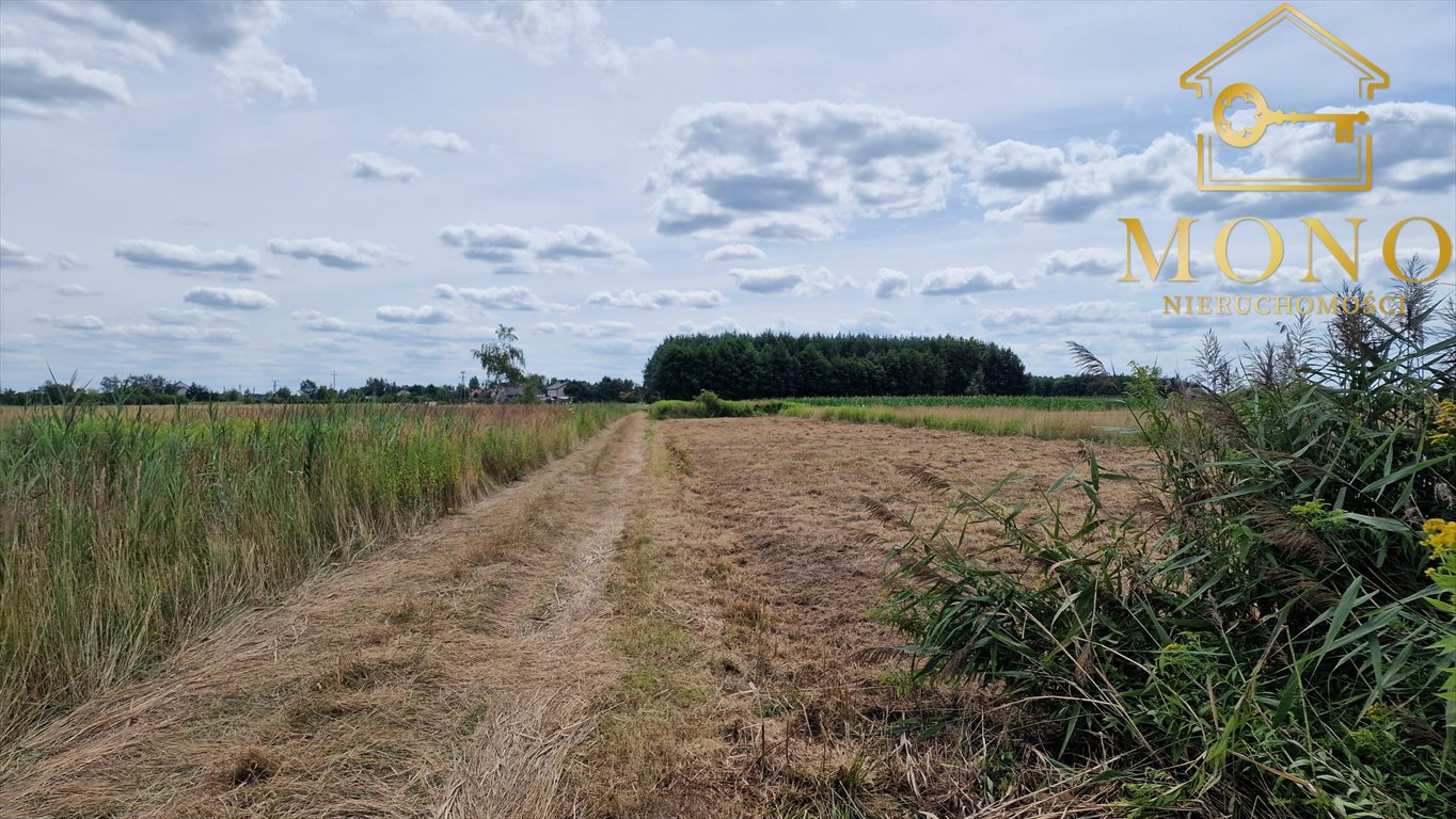 Działka budowlana na sprzedaż Piasek Wielki  26 800m2 Foto 14