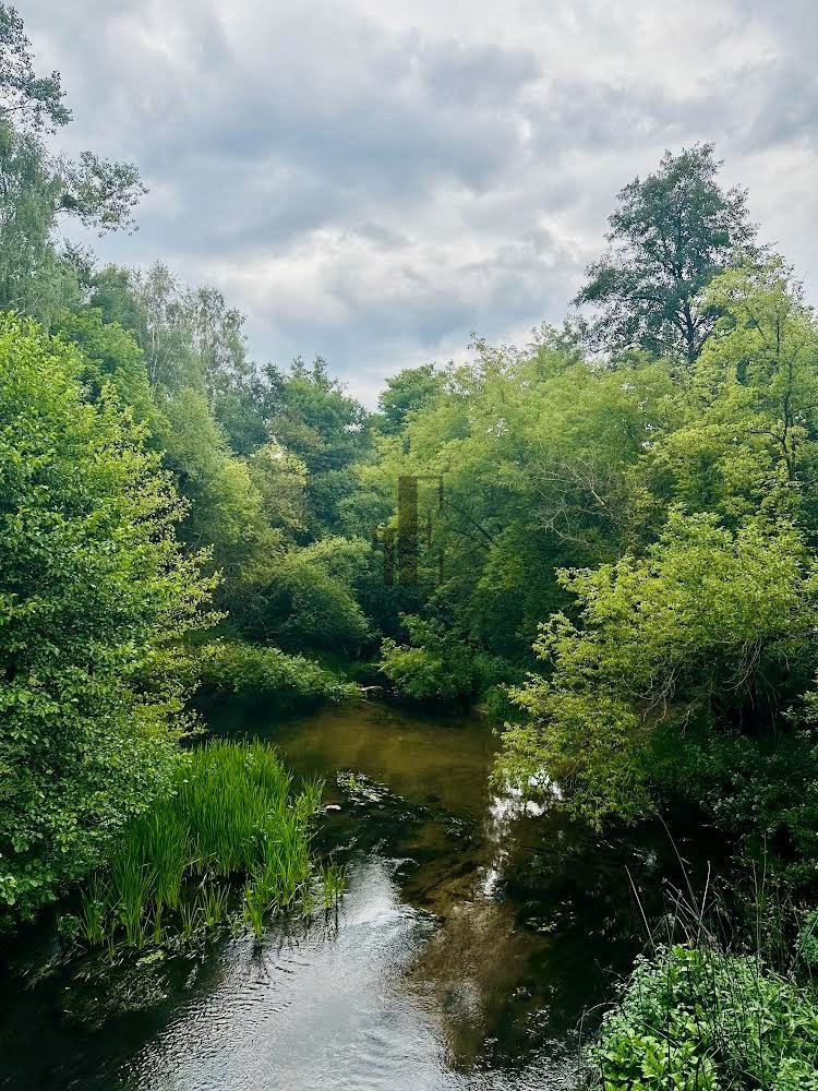 Działka budowlana na sprzedaż Płońsk  6 006m2 Foto 3