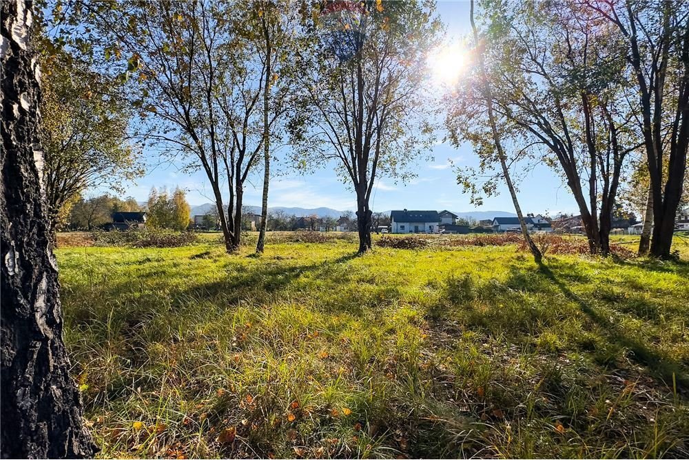 Działka budowlana na sprzedaż Jasienica  6 320m2 Foto 7